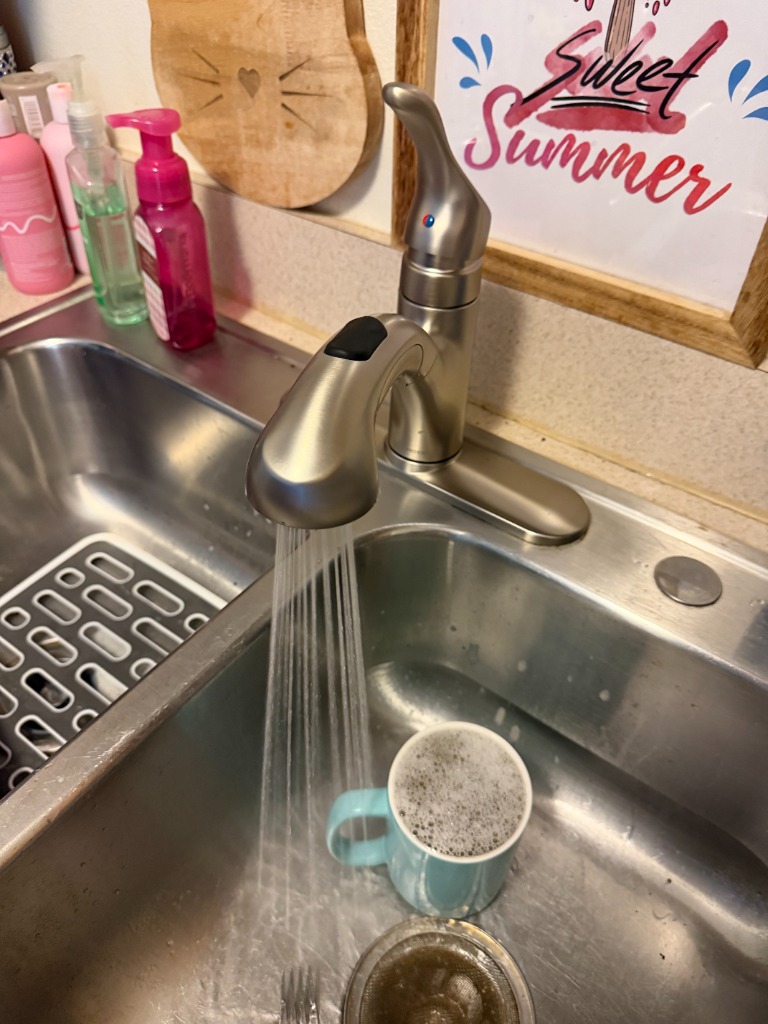 Kitchen Sink Pull-Down Faucet Installation